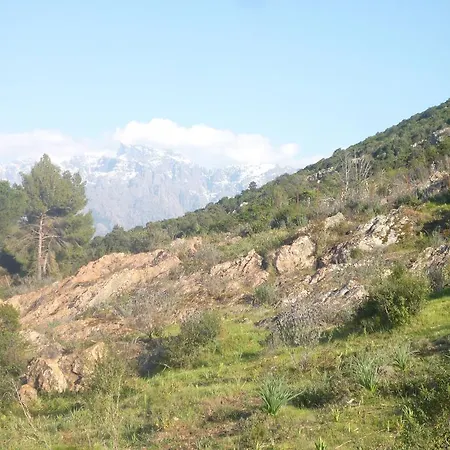 Apartament Candella