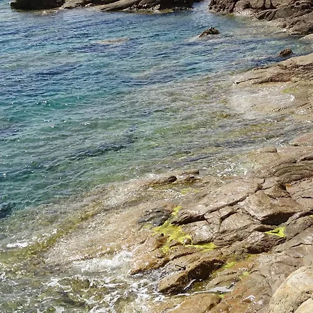 Candella Galeria (Corsica)