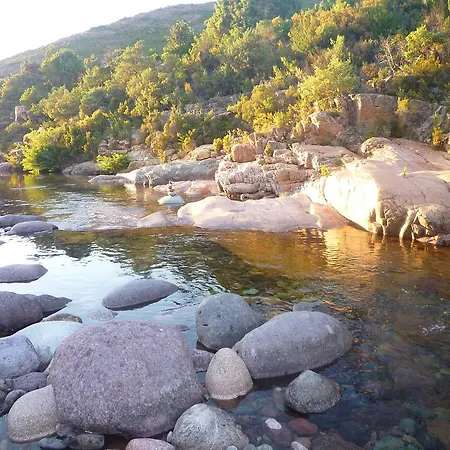 Candella Galeria (Corsica)
