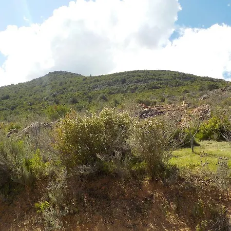 Candella Galeria (Corsica)