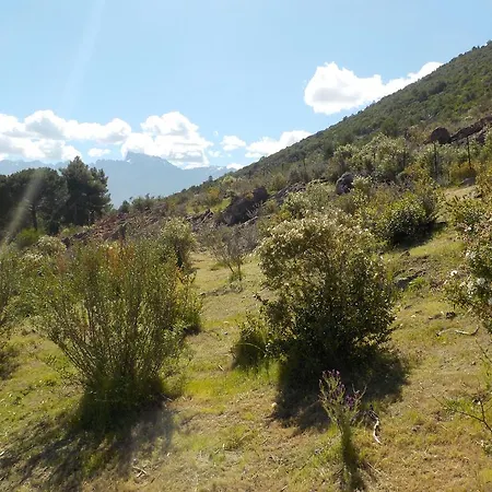 Candella Galeria (Corsica)