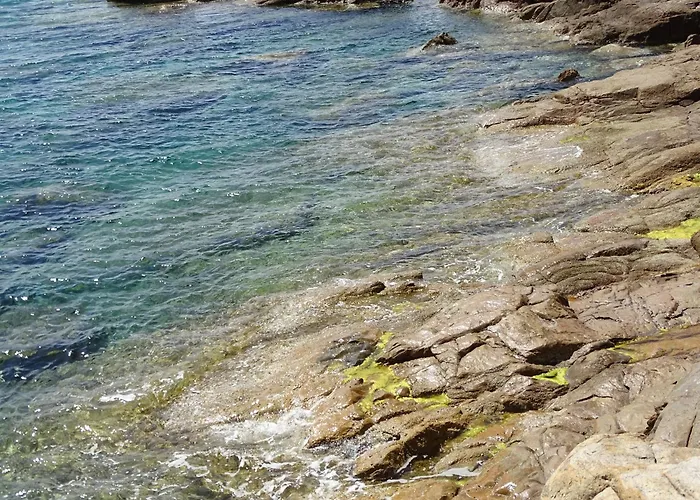 Candella Galeria (Corsica)